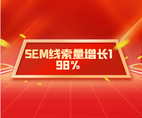 帮助行业龙头SEM线索量增长198%，线索有效率增长260%