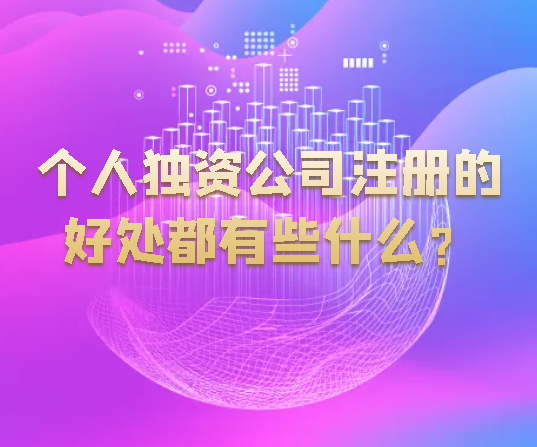 个人独资公司注册的好处都有些什么