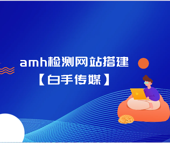 amh检测网站搭建【白手传媒】