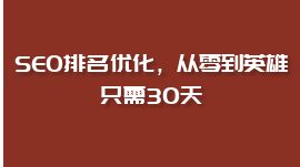 SEO排名优化，从零到英雄只需30天