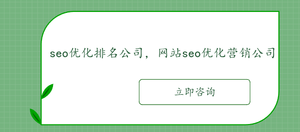 seo优化排名公司，网站seo优化营销公司