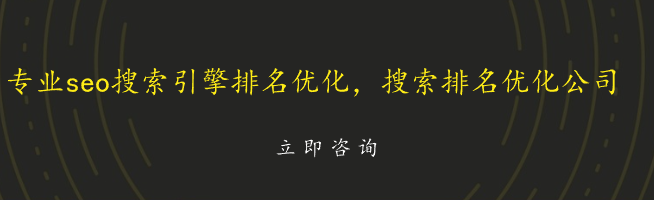 专业的seo搜索引擎排名优化，搜索排名优化公司