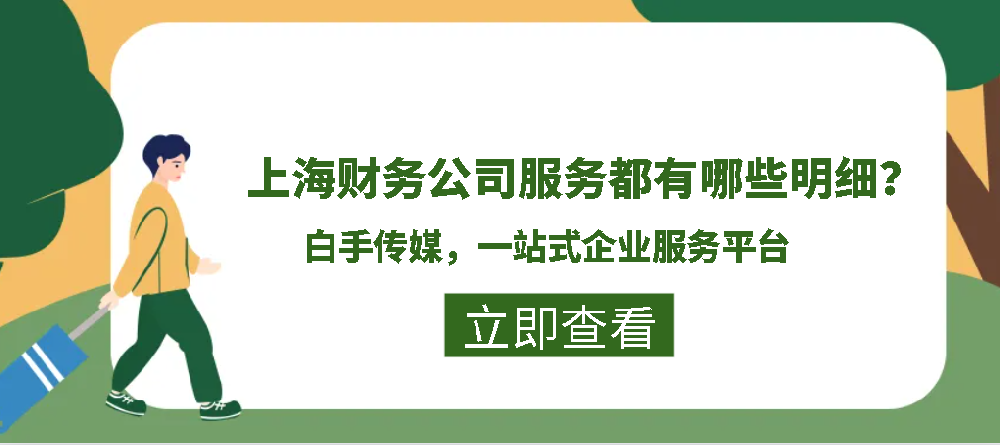 上海财务公司服务都有哪些明细？