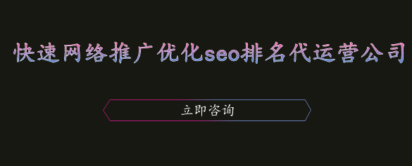 快速网络推广优化seo排名代运营公司