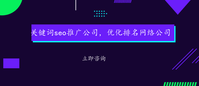 关键词seo推广公司，优化排名网络公司