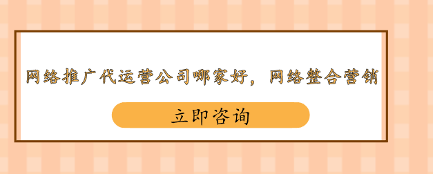 网络推广代运营公司哪家好，网络整合营销