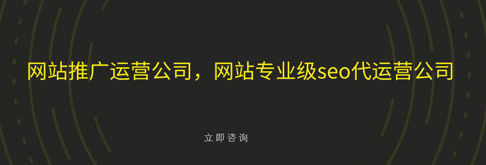 网站推广运营公司，网站专业级seo代运营公司