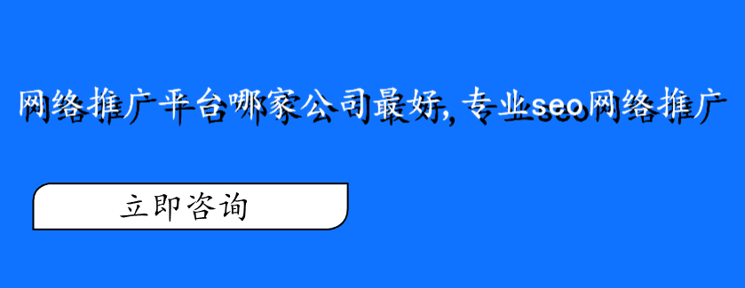 网络推广平台哪家公司最好,专业seo网络推广