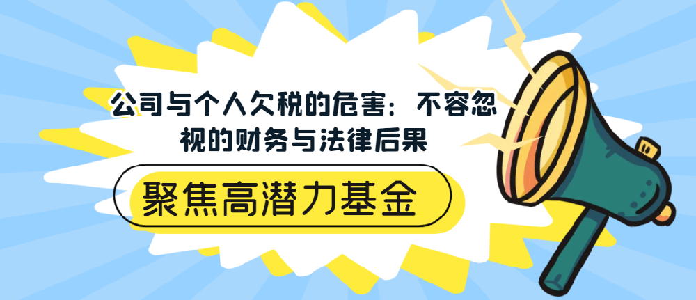 公司与个人欠税的危害：不容忽视的财务与法律后果